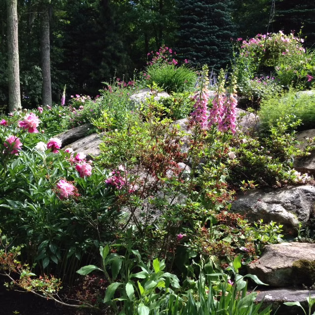 Shirley's Rock Garden